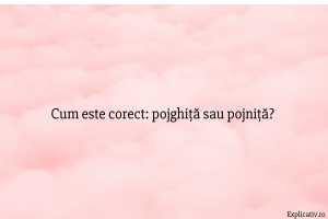 Cum este corect pojghiță sau pojniță
