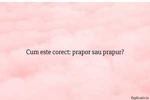 Cum este corect prapor sau prapur