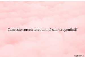 Cum este corect terebentină sau terepentină