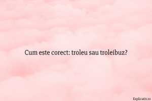 Cum este corect troleu sau troleibuz