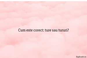 Cum este corect ture sau tururi
