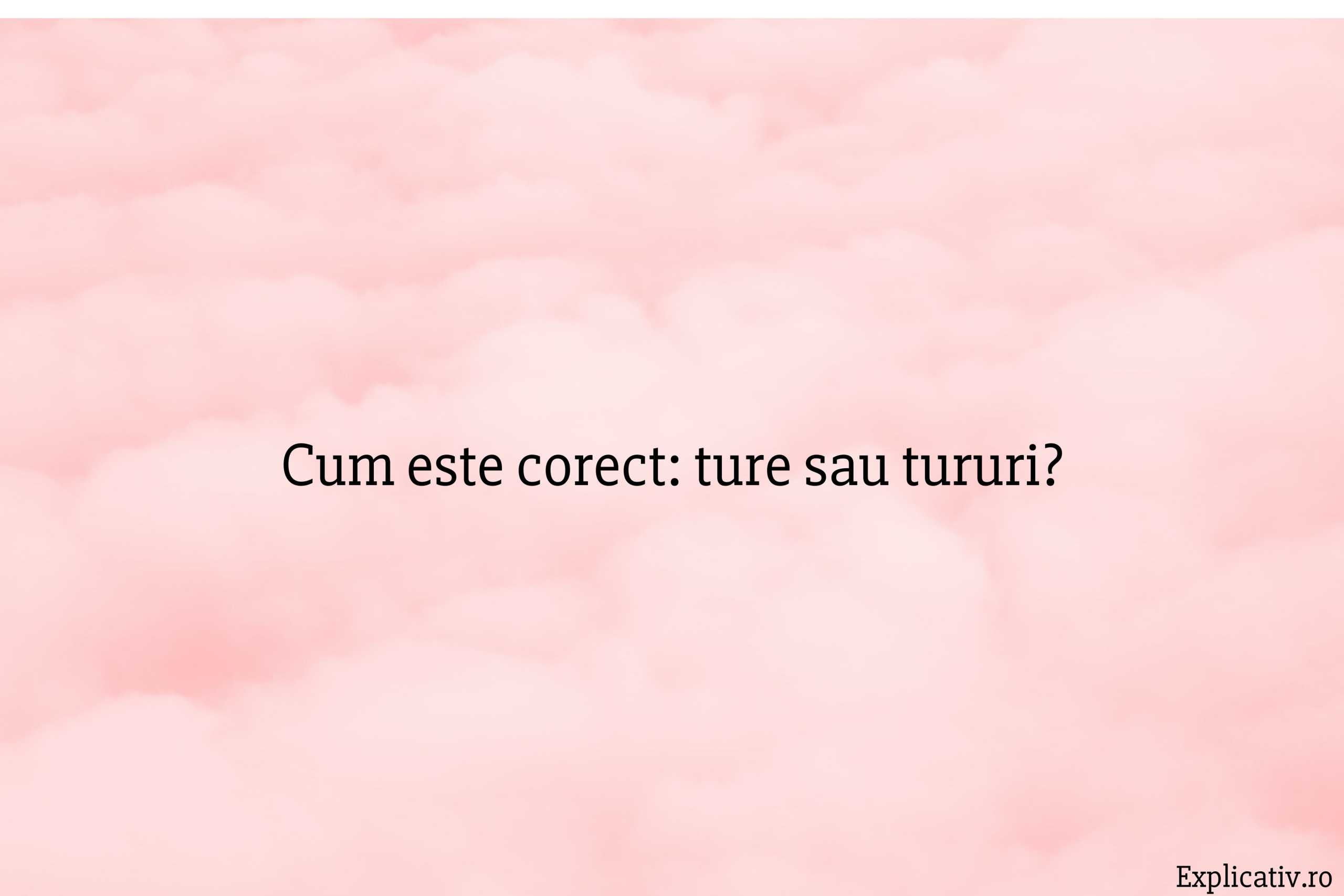 Cum este corect ture sau tururi