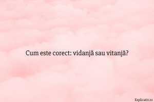 Cum este corect vidanjă sau vitanjă