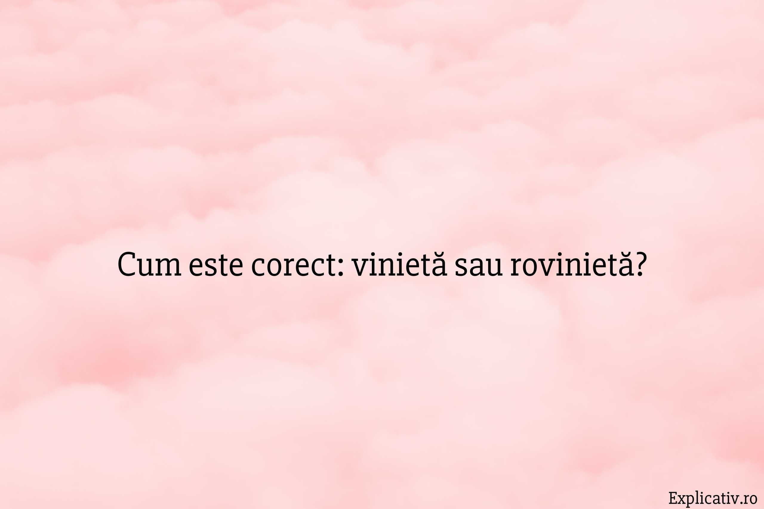 Cum este corect vinietă sau rovinietă