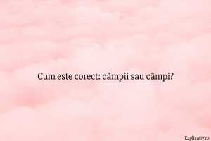 Cum este corect câmpii sau câmpi