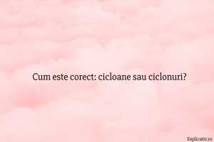 Cum este corect cicloane sau ciclonuri