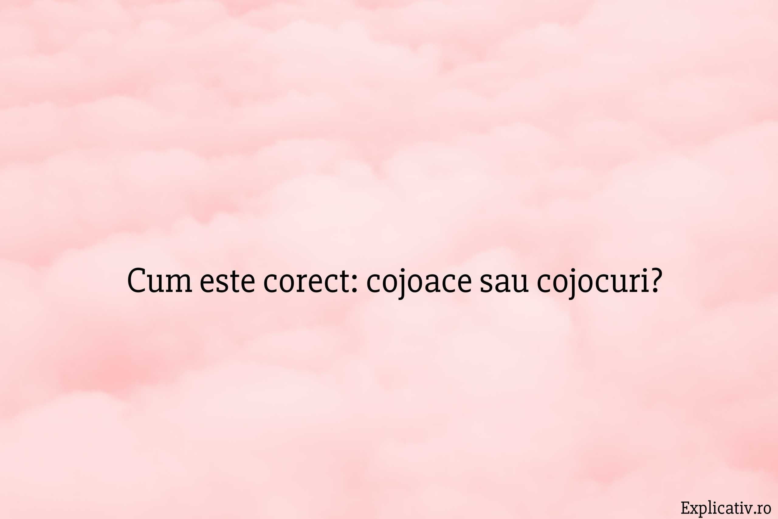 Cum este corect cojoace sau cojocuri