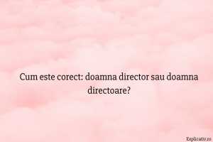 Cum este corect doamna director sau doamna directoare
