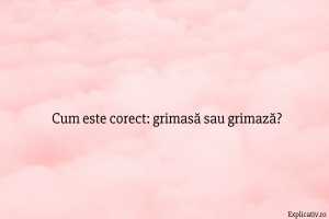 Cum este corect grimasă sau grimază
