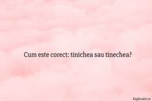 Cum este corect tinichea sau tinechea