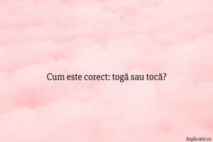 Cum este corect togă sau tocă