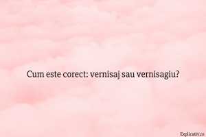Cum este corect vernisaj sau vernisagiu