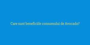 Care sunt beneficiile consumului de Avocado