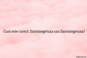 Cum este corect Sarmisegetuza sau Sarmisegetusa