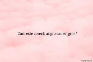 Cum este corect angro sau en gros