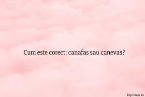 Cum este corect canafas sau canevas