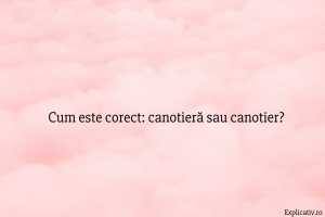 Cum este corect canotieră sau canotier
