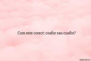 Cum este corect coafor sau cuafor