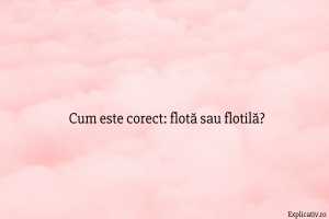 Cum este corect flotă sau flotilă