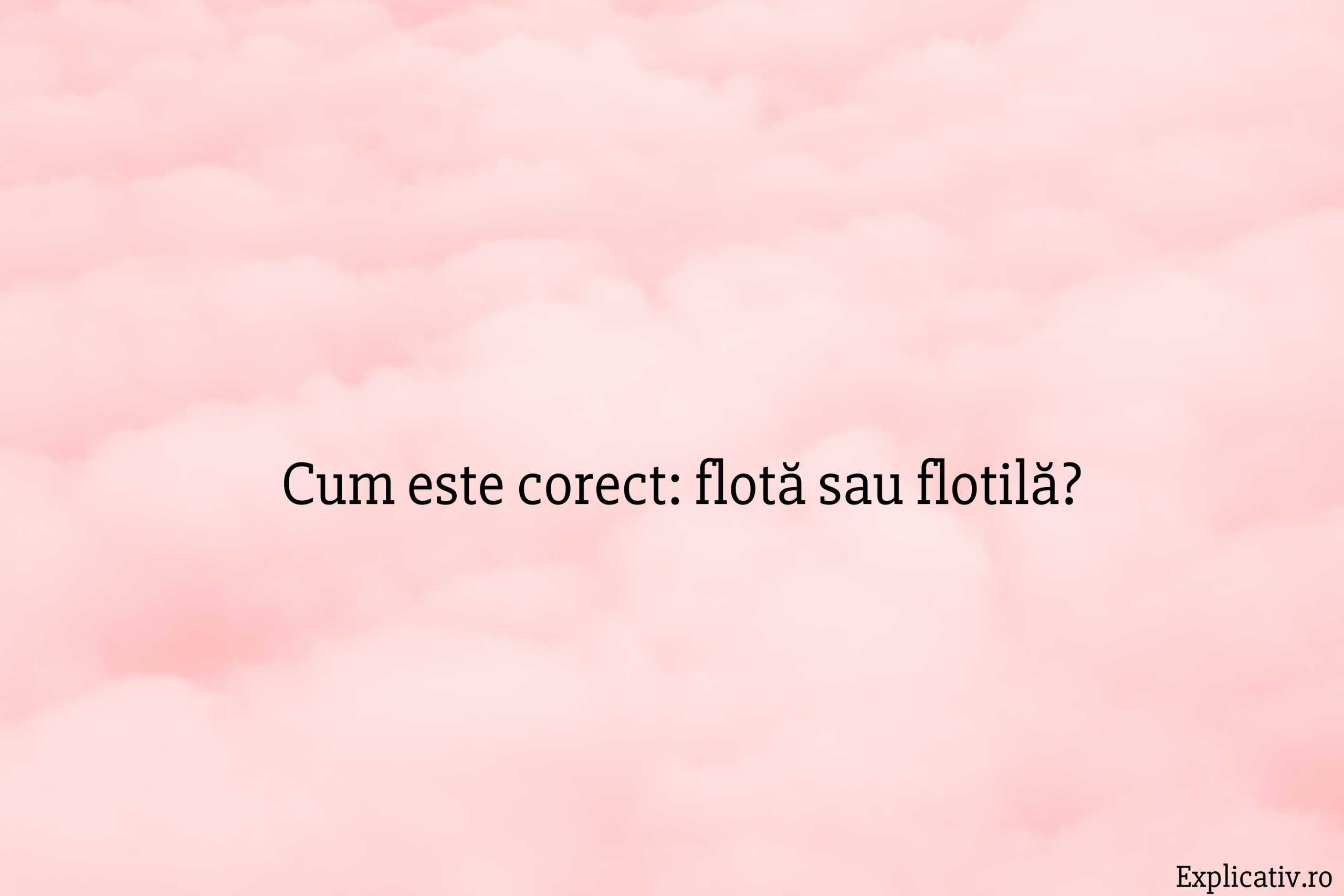 Cum este corect flotă sau flotilă