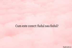 Cum este corect fudul sau fodul