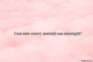Cum este corect nesimțit sau nesimpțit