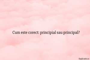 Cum este corect principial sau principal