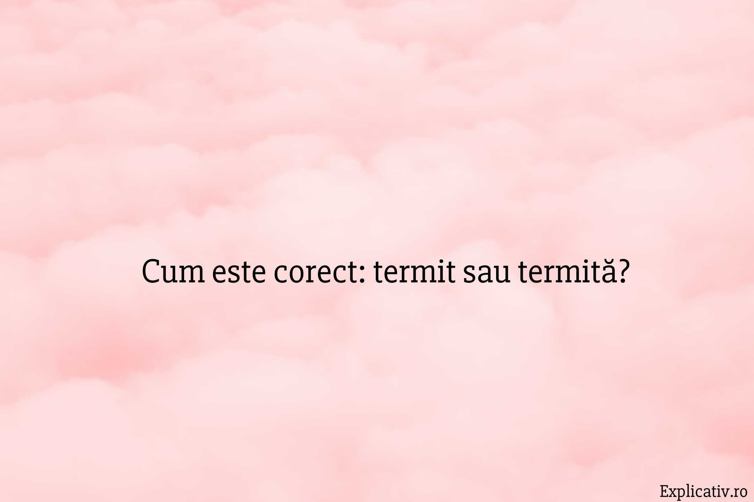 Cum este corect termit sau termită