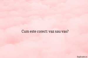 Cum este corect vaz sau vas