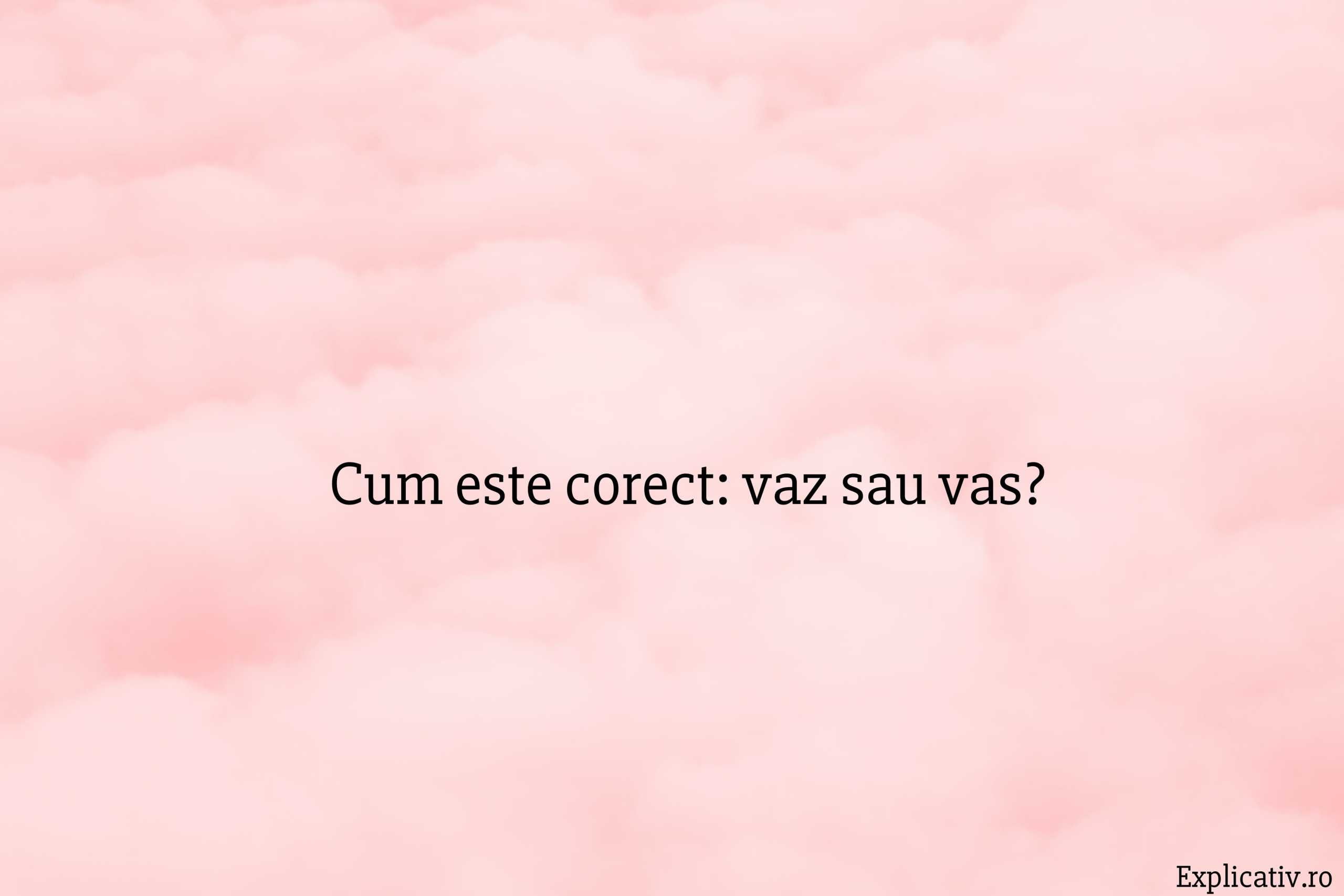 Cum este corect vaz sau vas
