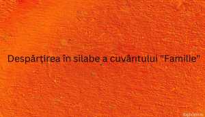 Despărțirea în silabe a cuvântului Familie