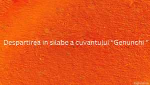 Despartirea in silabe a cuvantului “Genunchi ”