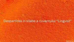 Despartirea in silabe a cuvantului “Lingvist”