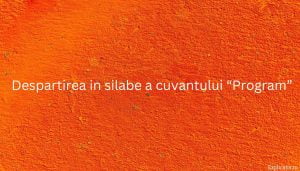 Despartirea in silabe a cuvantului “Program”