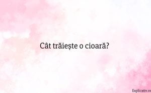 Cât trăiește o cioară