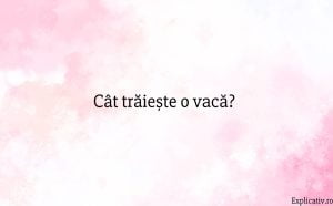 Cât trăiește o vacă