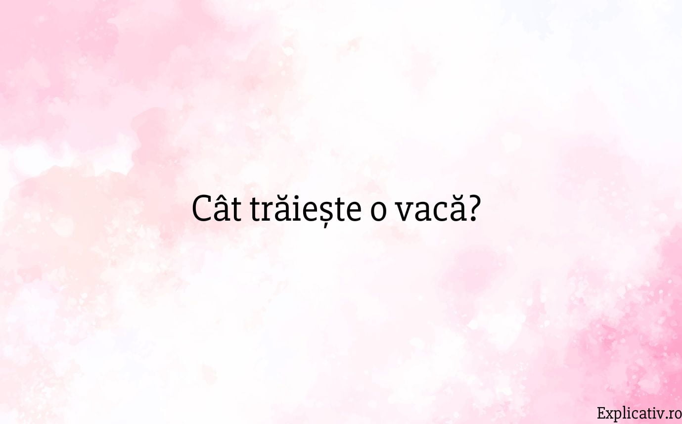 Cât trăiește o vacă