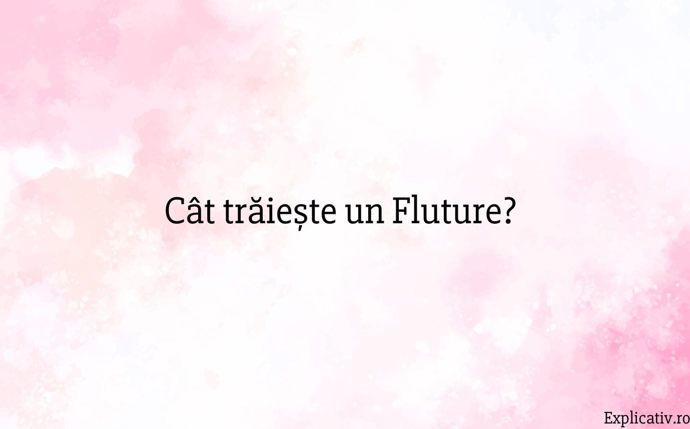 Cât trăiește un Fluture