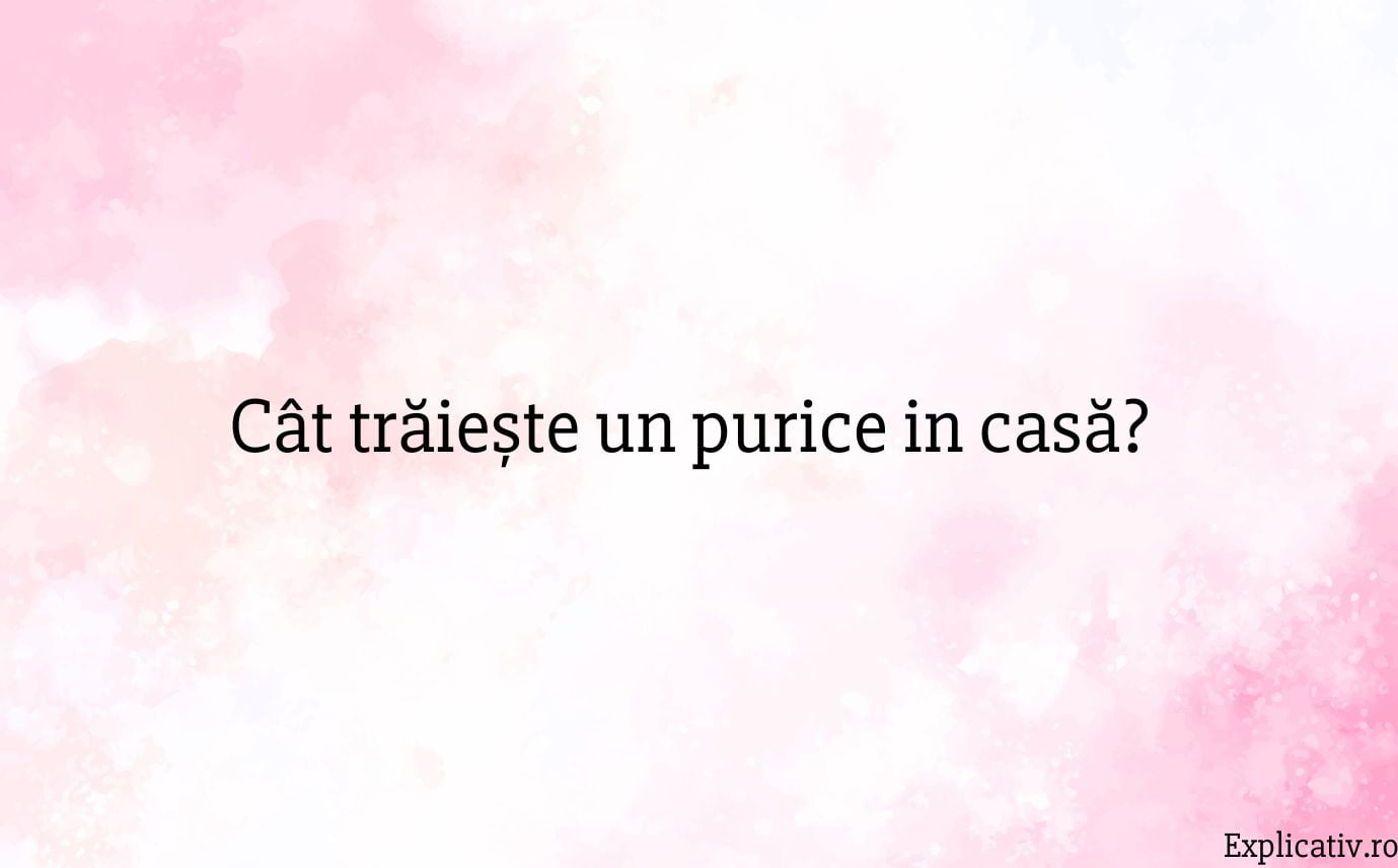Cât trăiește un purice in casă
