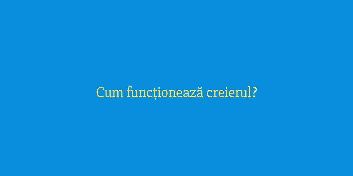 Cum funcționează creierul