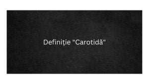 Definiție Carotidă