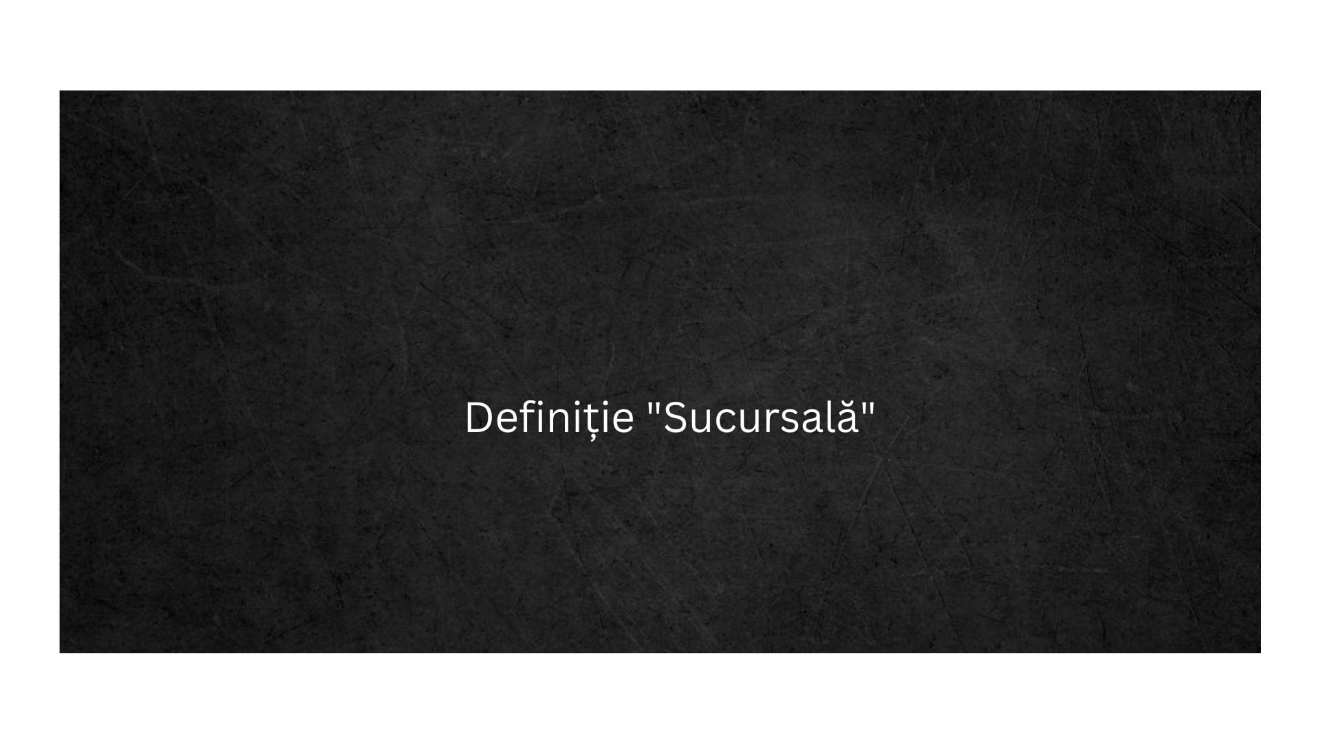 Definiție Sucursală