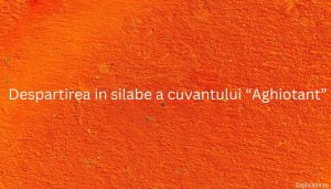 Despartirea in silabe a cuvantului “Aghiotant”