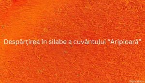 Despărțirea în silabe a cuvântului “Aripioară”
