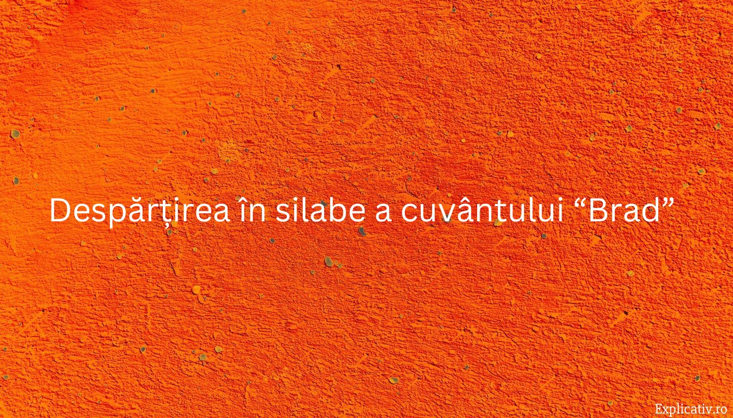 Despărțirea în silabe a cuvântului “Brad”