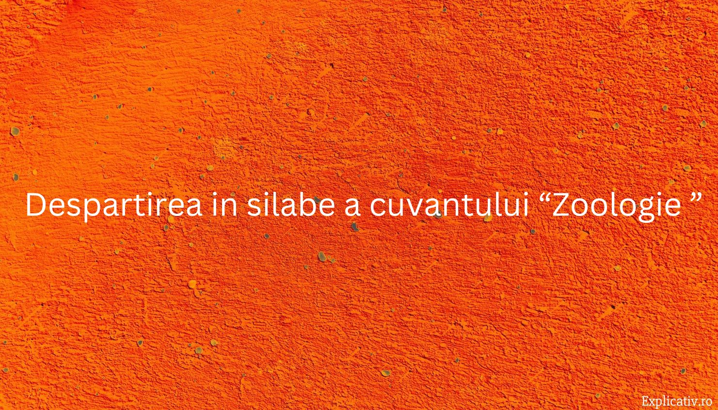 Despartirea in silabe a cuvantului “Zoologie ”