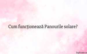 Cum funcționează Panourile solare