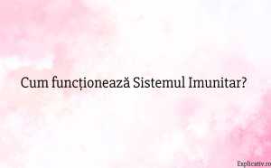 Cum funcționează Sistemul Imunitar
