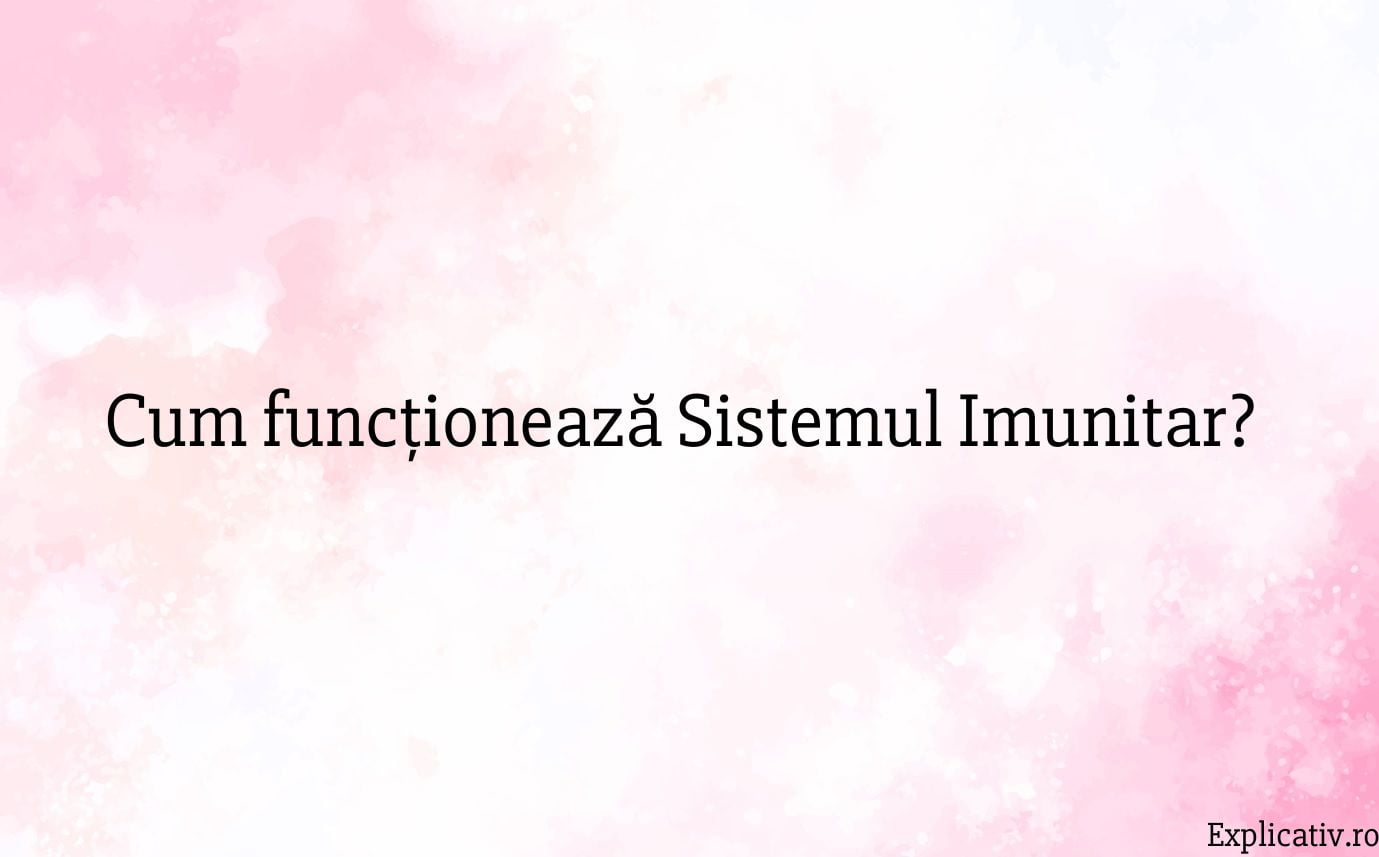 Cum funcționează Sistemul Imunitar