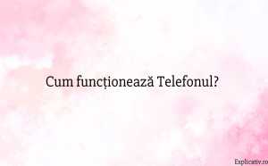 Cum funcționează Telefonul